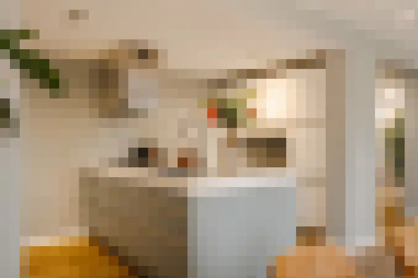 Prins Bernhardlaan 15 Amstelveen thumbnail 20