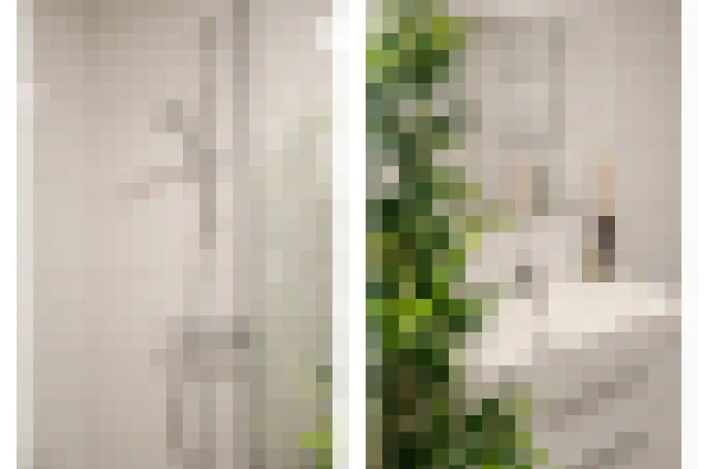 Prins Bernhardlaan 15 Amstelveen thumbnail 37