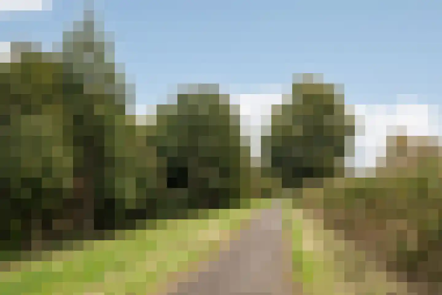 Prins Bernhardlaan 15 Amstelveen thumbnail 43