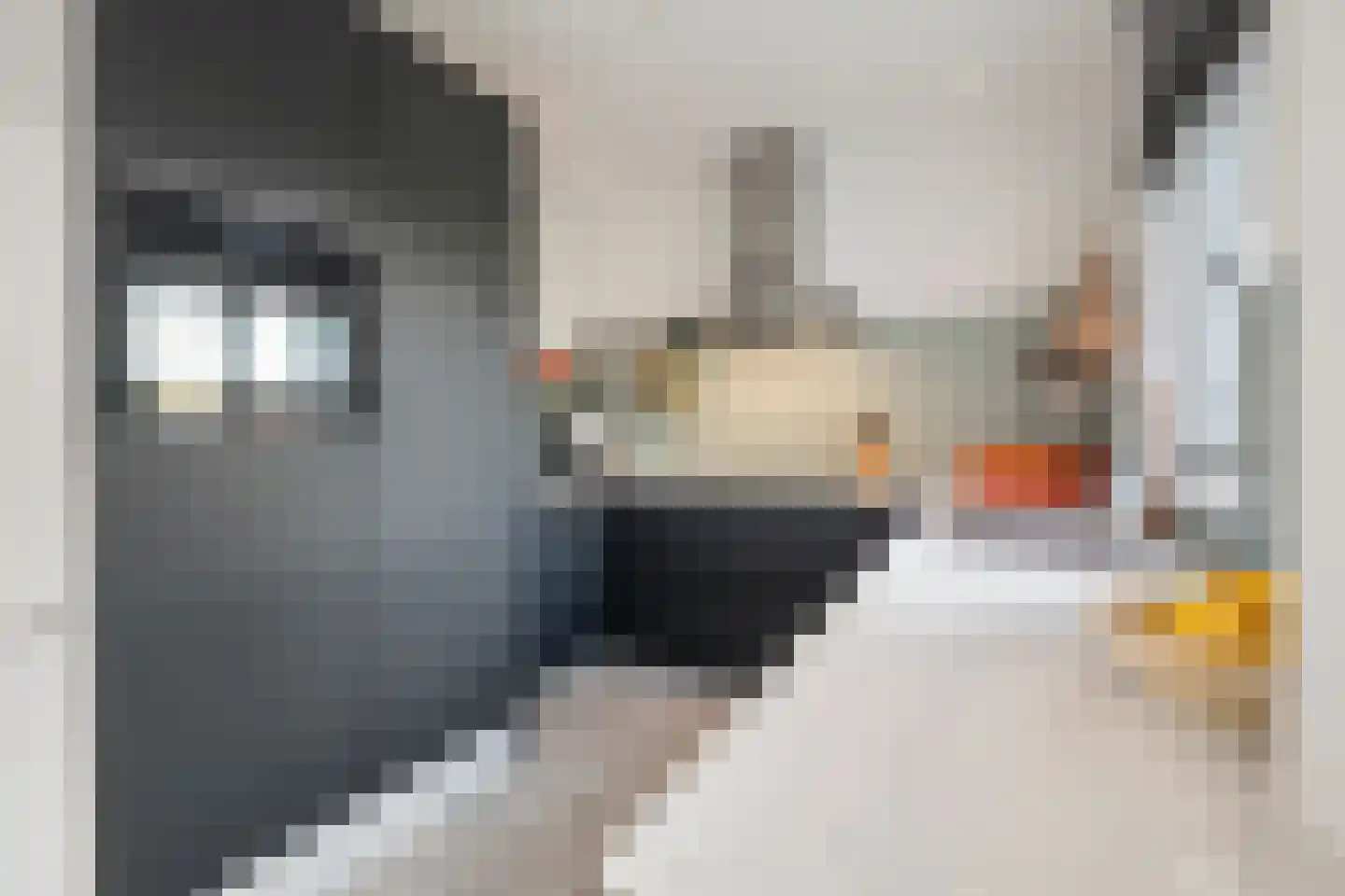 Prins Bernhardlaan 15 Vught thumbnail 16