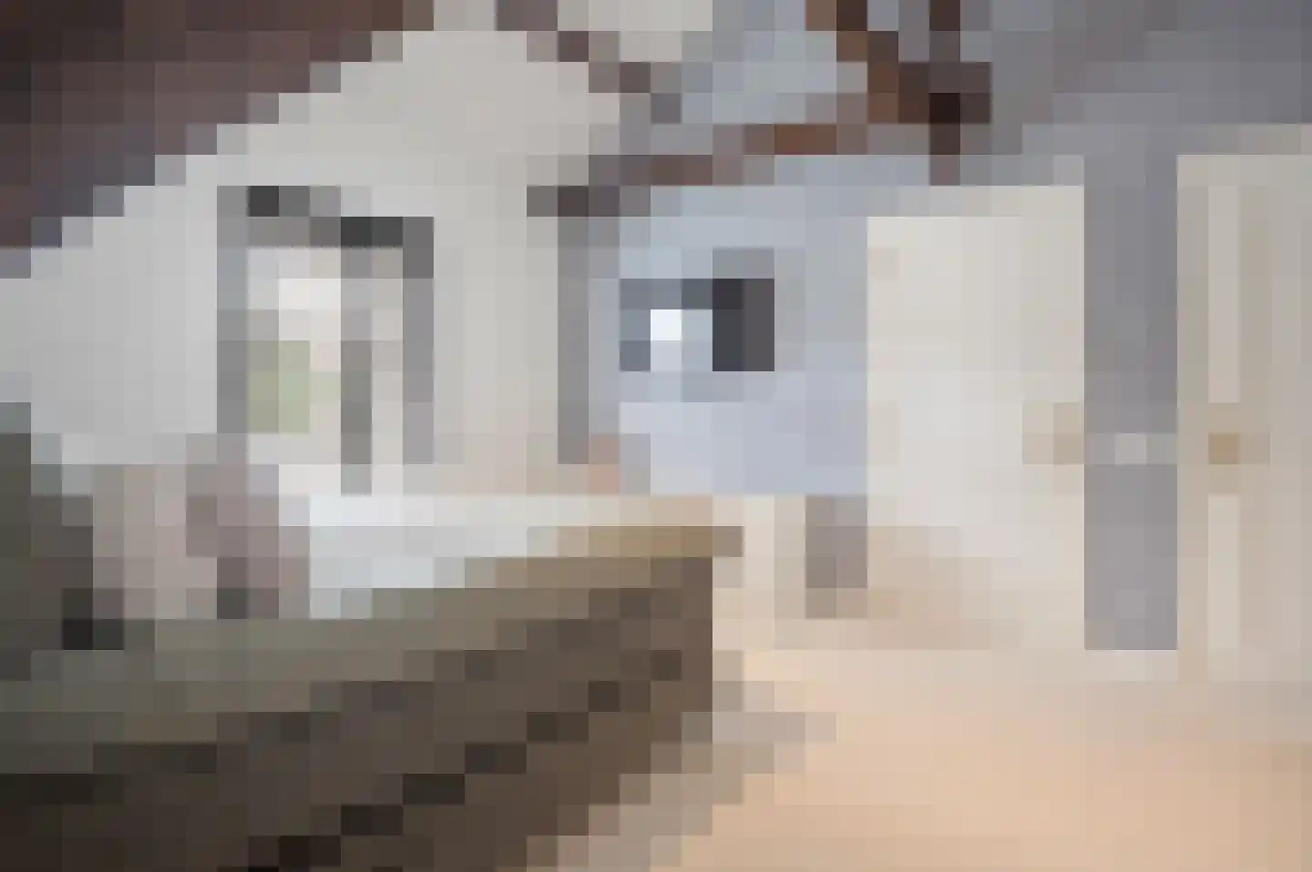 Prins Bernhardlaan 15 Vught thumbnail 29