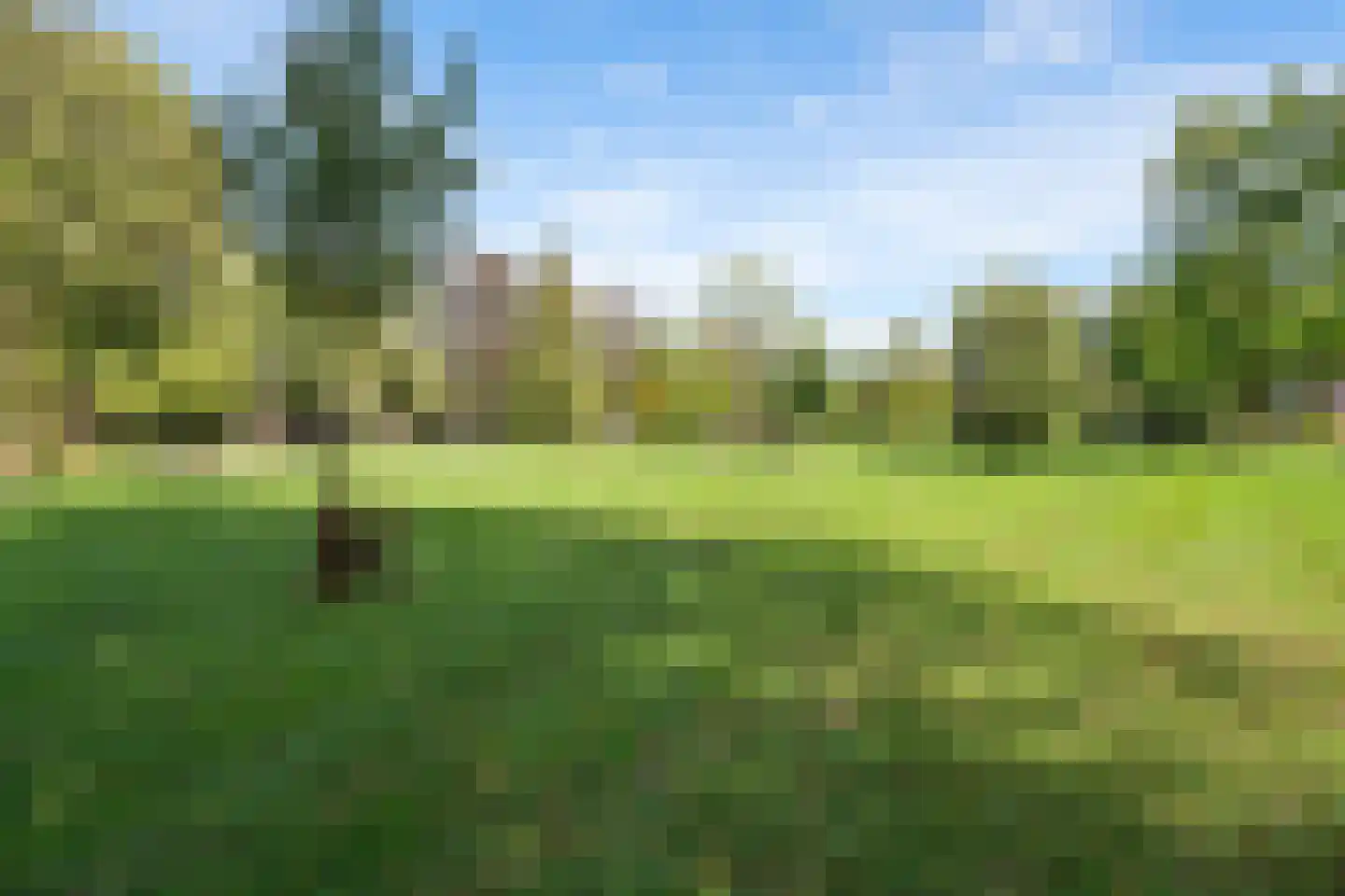 Prins Bernhardlaan 15 Vught thumbnail 56