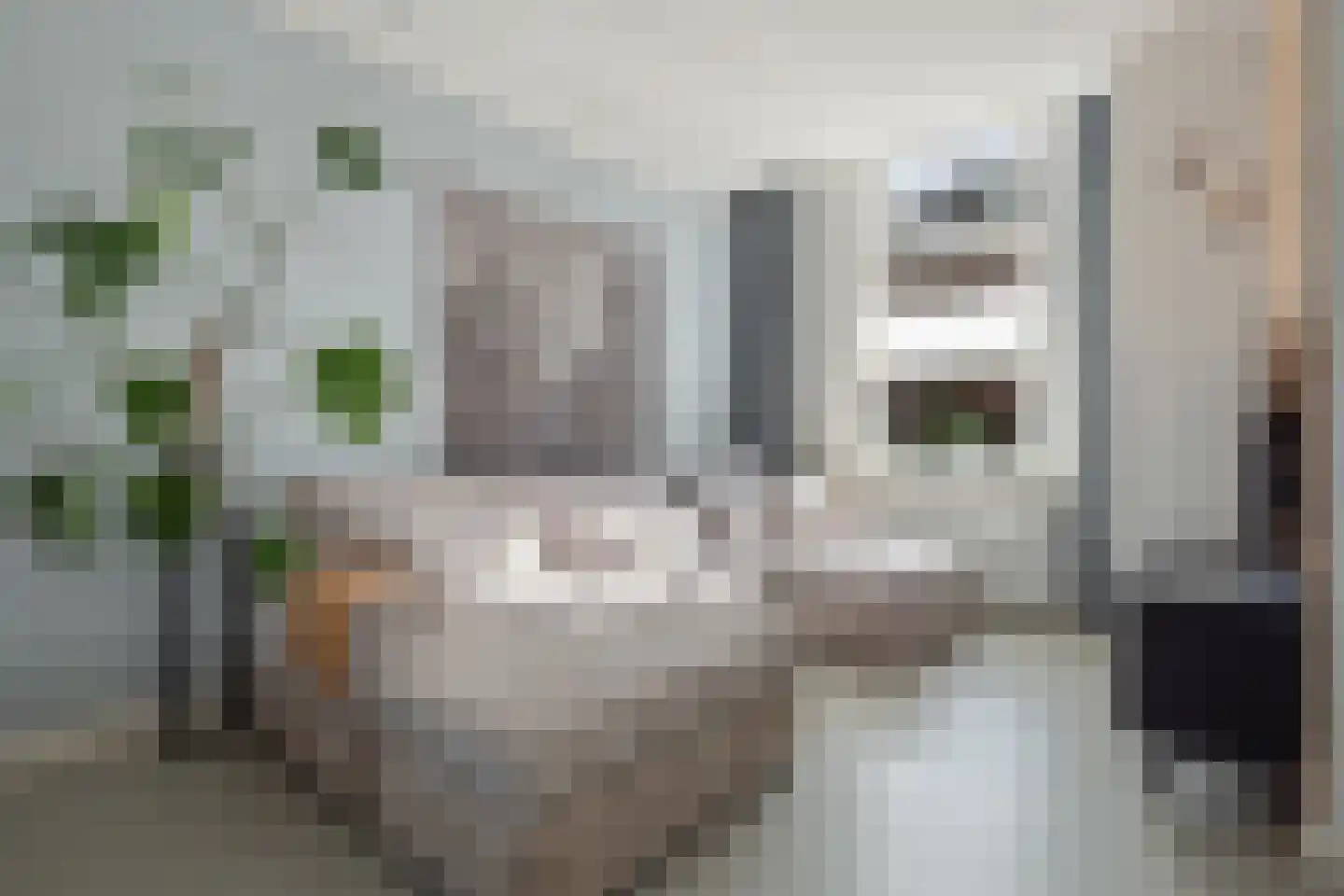 Prins Bernhardlaan 15 Vught thumbnail 9