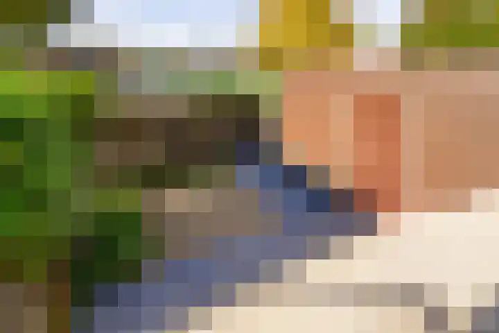 Prins Bernhardlaan 150 A Haarlem thumbnail 11