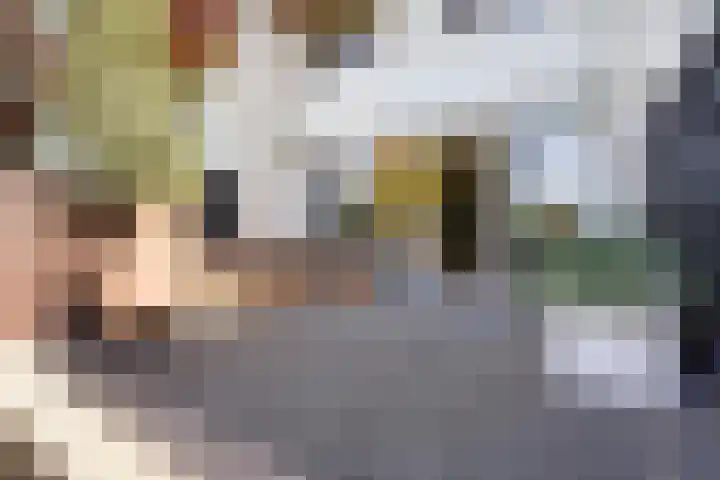 Prins Bernhardlaan 150 A Haarlem thumbnail 13