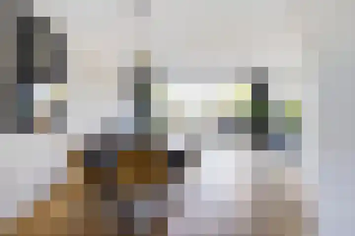 Prins Bernhardlaan 150 A Haarlem thumbnail 16