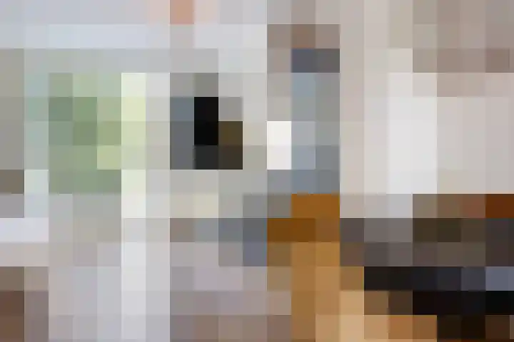Prins Bernhardlaan 150 A Haarlem thumbnail 17