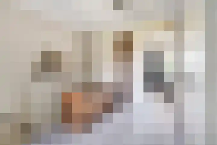 Prins Bernhardlaan 150 A Haarlem thumbnail 21