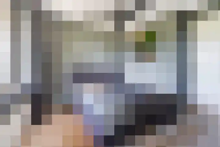 Prins Bernhardlaan 150 A Haarlem thumbnail 26