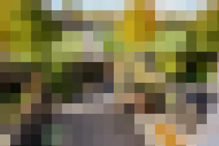 Prins Bernhardlaan 150 A Haarlem thumbnail 30