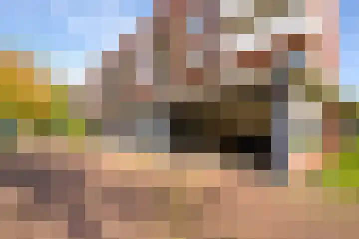 Prins Bernhardlaan 150 A Haarlem thumbnail 36
