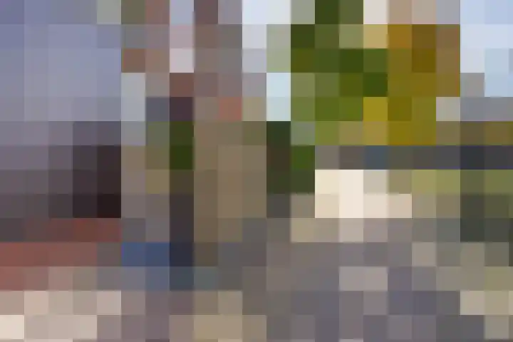 Prins Bernhardlaan 150 A Haarlem thumbnail 39