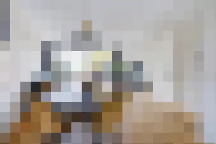 Prins Bernhardlaan 150 A Haarlem thumbnail 6