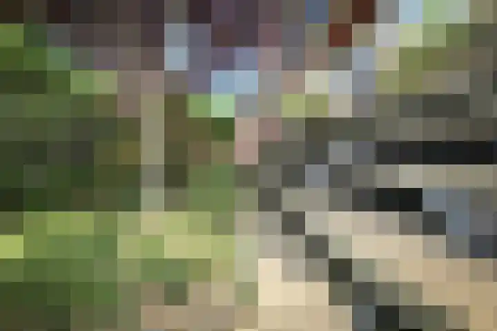 Prins Bernhardlaan 150 B Haarlem thumbnail 18