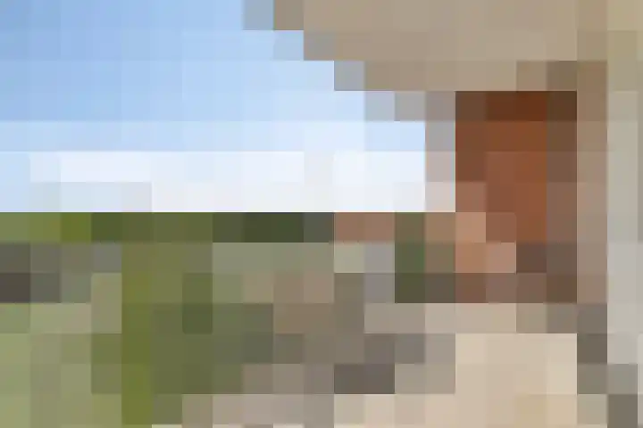 Prins Bernhardlaan 150 K Haarlem thumbnail 21