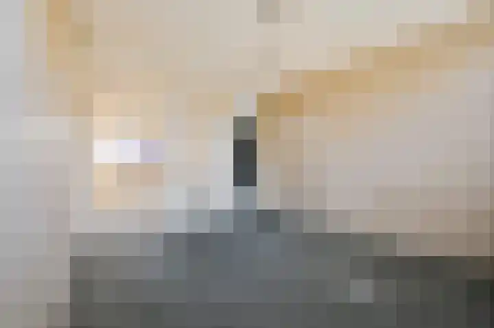 Prins Bernhardlaan 151 Voorburg thumbnail 18