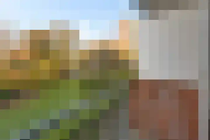 Prins Bernhardlaan 151 Voorburg thumbnail 32
