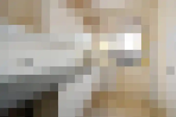 Prins Bernhardlaan 151 Voorburg thumbnail 8