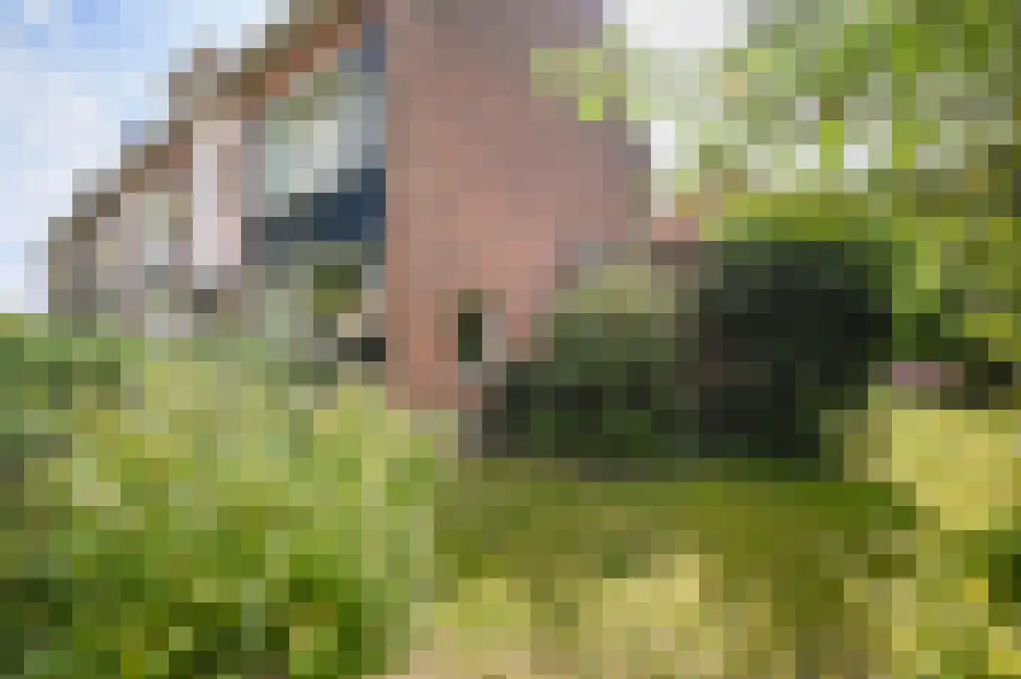 Prins Bernhardlaan 152 Leidschendam thumbnail 19