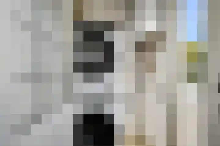 Prins Bernhardlaan 152 Voorburg thumbnail 20