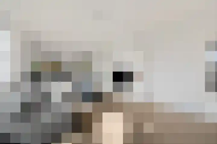 Prins Bernhardlaan 152 Voorburg thumbnail 7