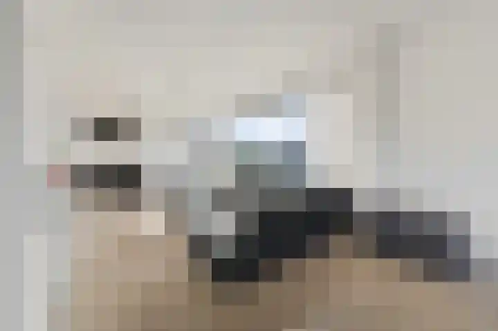 Prins Bernhardlaan 152 Voorburg thumbnail 8