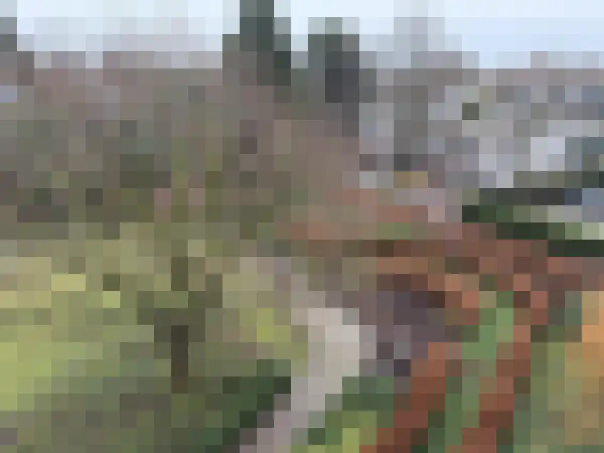 Prins Bernhardlaan 153 Haarlem thumbnail 5