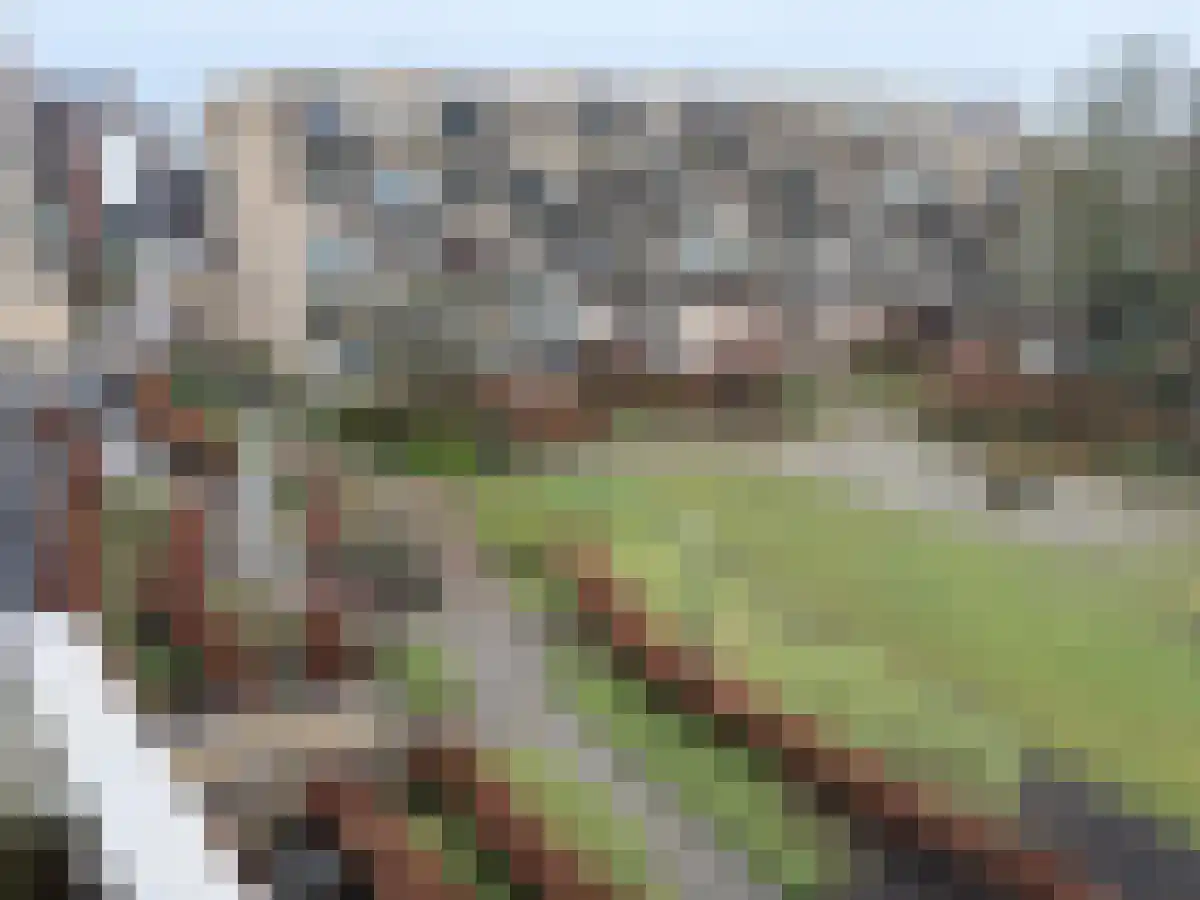 Prins Bernhardlaan 153 Haarlem thumbnail 6