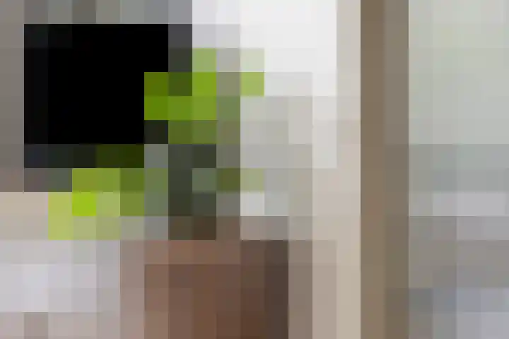 Prins Bernhardlaan 16 Berg en Dal thumbnail 11