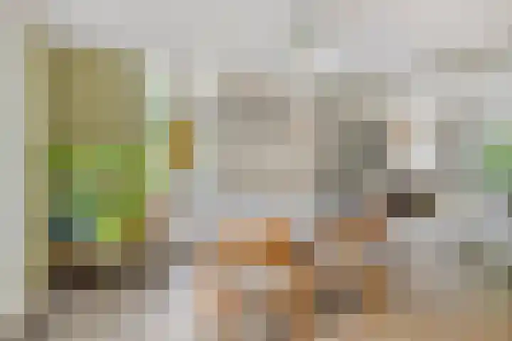 Prins Bernhardlaan 16 Berg en Dal thumbnail 15