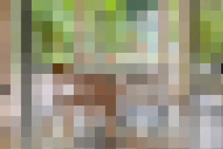 Prins Bernhardlaan 16 Berg en Dal thumbnail 16