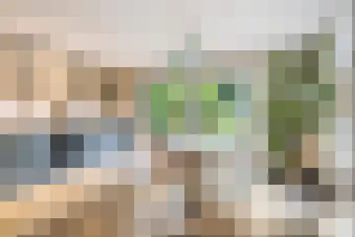 Prins Bernhardlaan 16 Berg en Dal thumbnail 17
