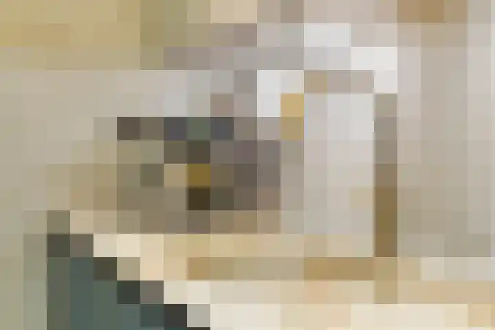 Prins Bernhardlaan 16 Berg en Dal thumbnail 20