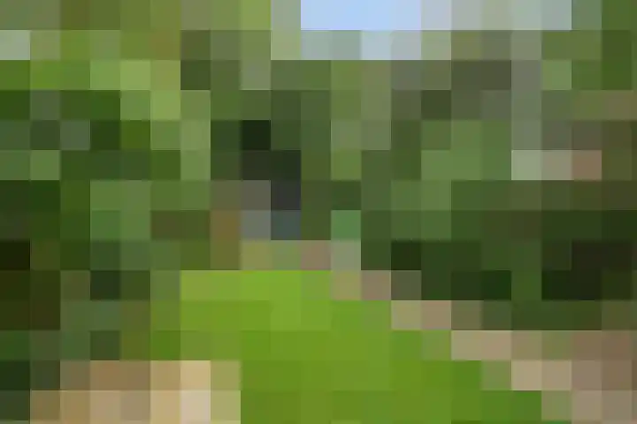Prins Bernhardlaan 16 Berg en Dal foto 3