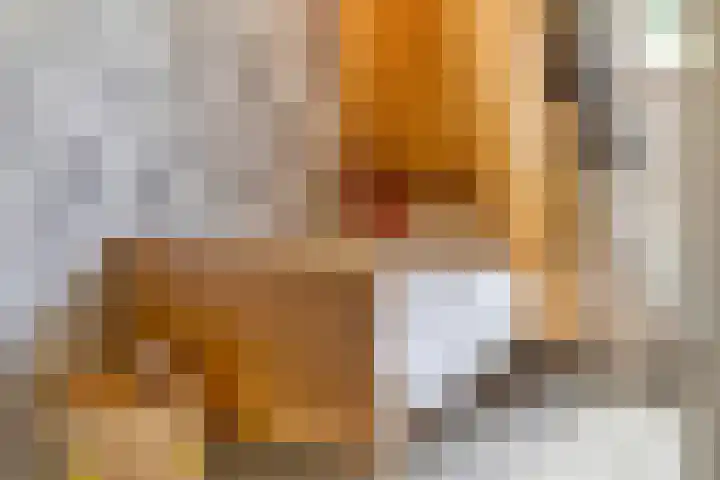 Prins Bernhardlaan 16 Berg en Dal thumbnail 32
