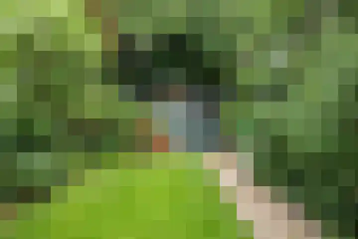 Prins Bernhardlaan 16 Berg en Dal thumbnail 34