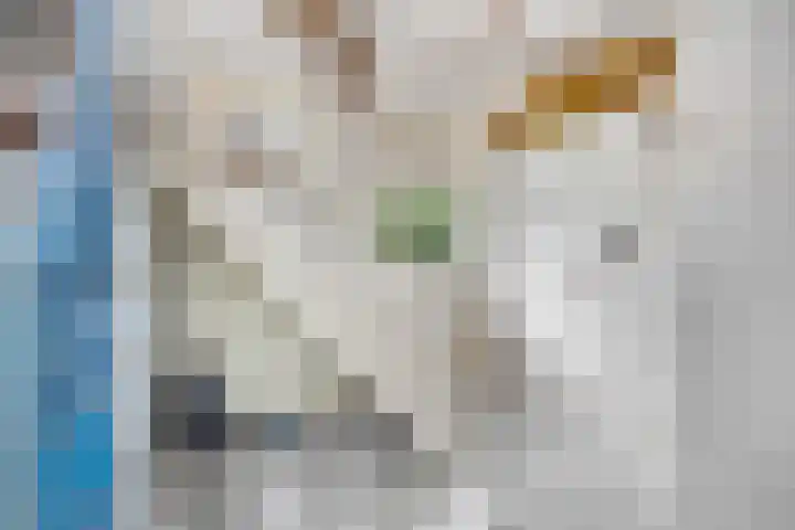 Prins Bernhardlaan 16 Ede thumbnail 20
