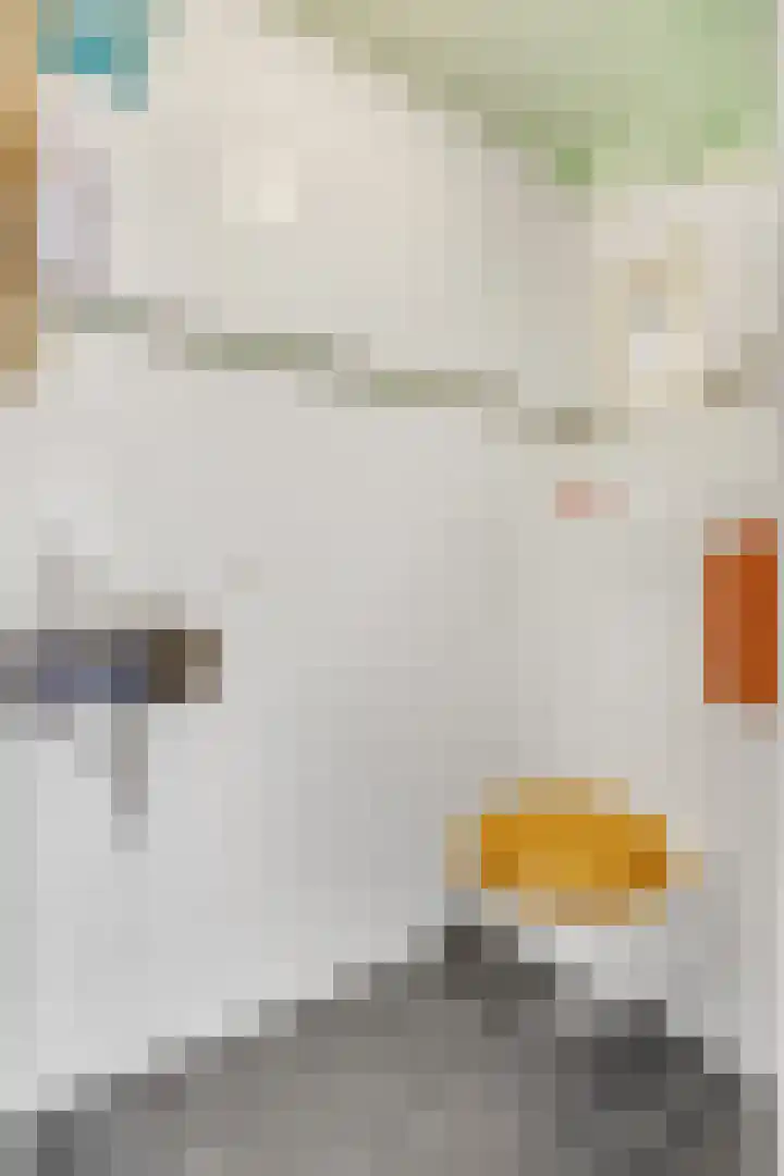 Prins Bernhardlaan 16 Ede thumbnail 21