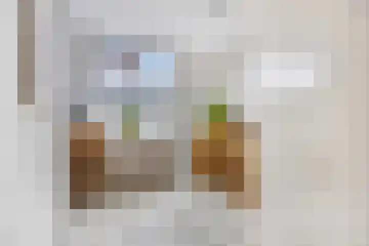 Prins Bernhardlaan 16 Ede thumbnail 32