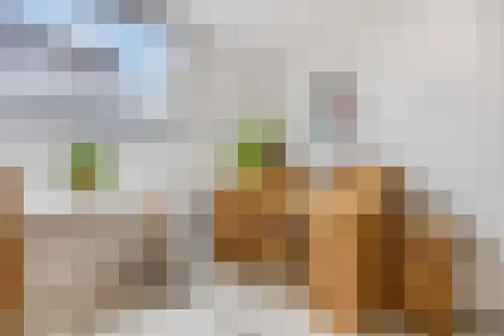 Prins Bernhardlaan 16 Ede thumbnail 33