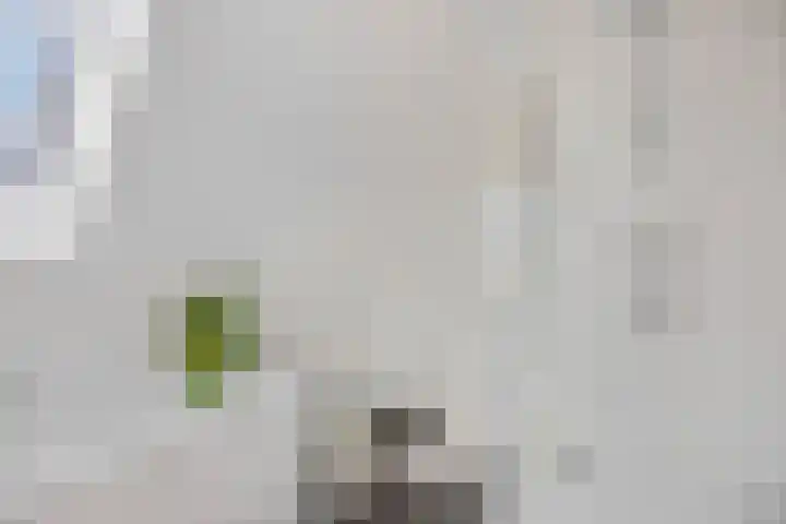 Prins Bernhardlaan 16 Ede thumbnail 36