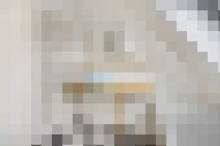 Prins Bernhardlaan 16 Ede thumbnail 37