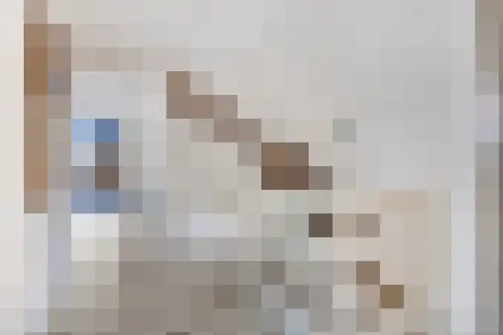Prins Bernhardlaan 16 Ede thumbnail 39