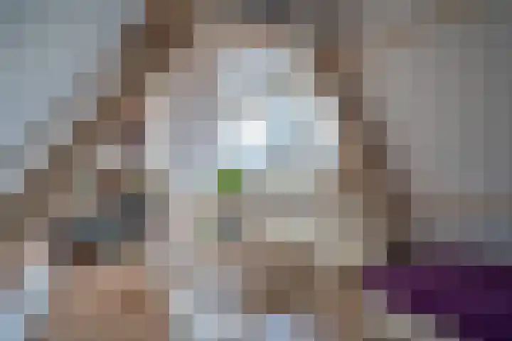 Prins Bernhardlaan 16 Ede thumbnail 41