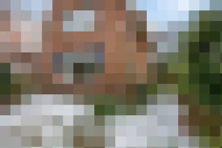 Prins Bernhardlaan 16 Ede thumbnail 47