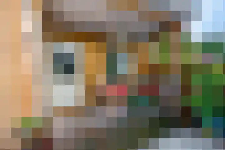 Prins Bernhardlaan 16 Ede thumbnail 52