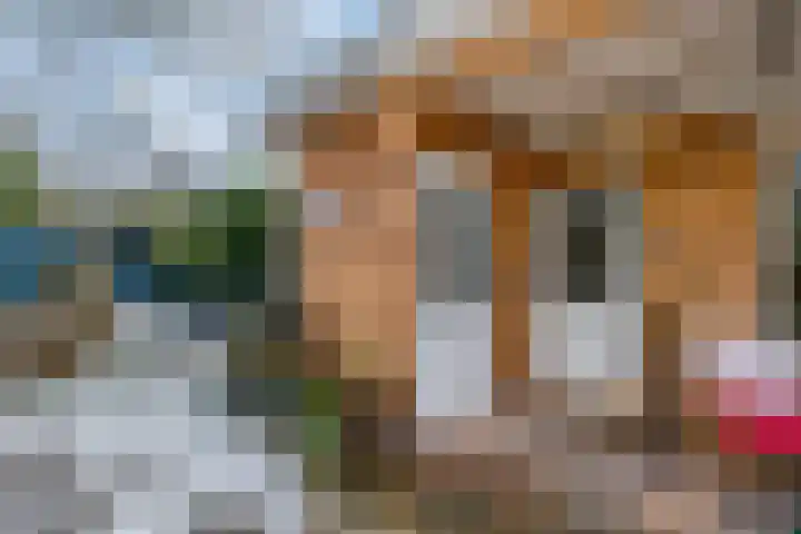 Prins Bernhardlaan 16 Ede thumbnail 53