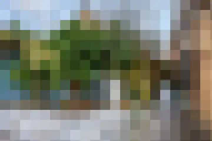 Prins Bernhardlaan 16 Ede thumbnail 55