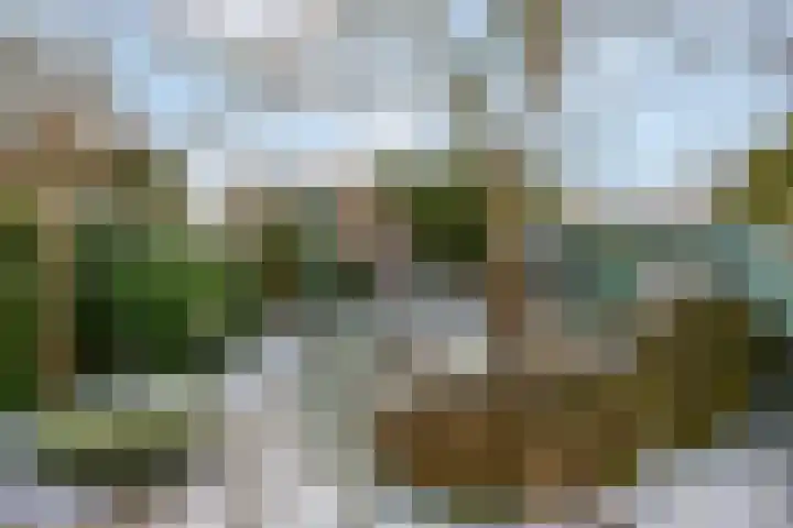 Prins Bernhardlaan 16 Ede thumbnail 56
