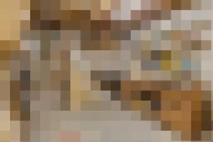 Prins Bernhardlaan 16 Ede thumbnail 75